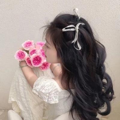 红衣主教